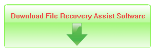 Sondle File Recovery Assist Crack