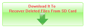 Download It To Recover Deleted Files From SD Card